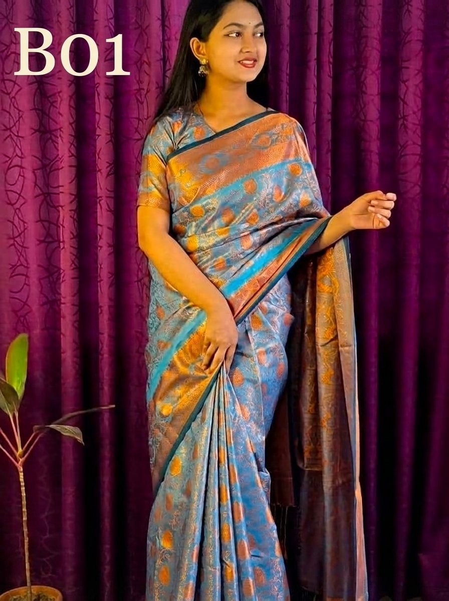 Code-B01 কাঞ্জিভরম কাতান শাড়ি ব্লাউজ পিসসহ