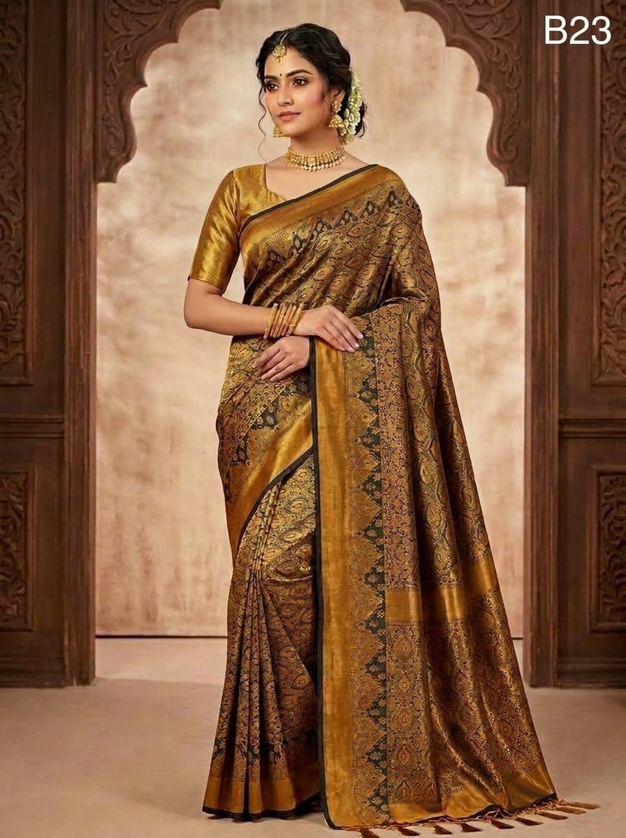 Code-B23 কাঞ্জিভরম কাতান শাড়ি ব্লাউজ পিসসহ